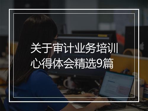 关于审计业务培训心得体会精选9篇