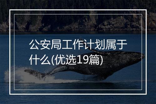 公安局工作计划属于什么(优选19篇)