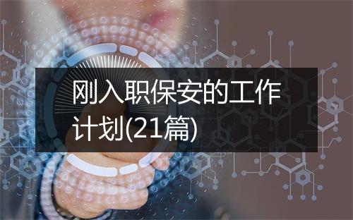 刚入职保安的工作计划(21篇)