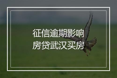征信逾期影响房贷武汉买房