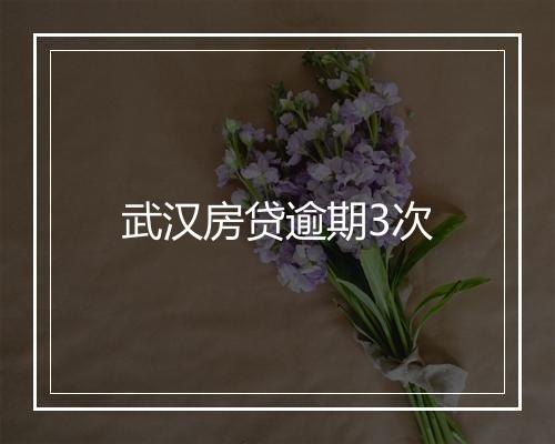 武汉房贷逾期3次