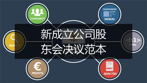 新成立公司股东会决议范本