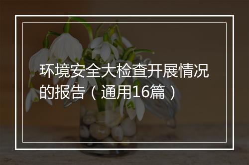 环境安全大检查开展情况的报告（通用16篇）