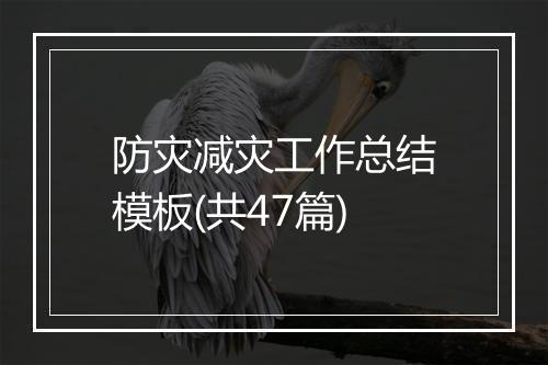 防灾减灾工作总结模板(共47篇)