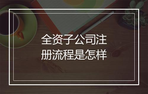 全资子公司注册流程是怎样