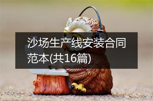 沙场生产线安装合同范本(共16篇)