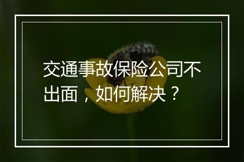 交通事故保险公司不出面，如何解决？