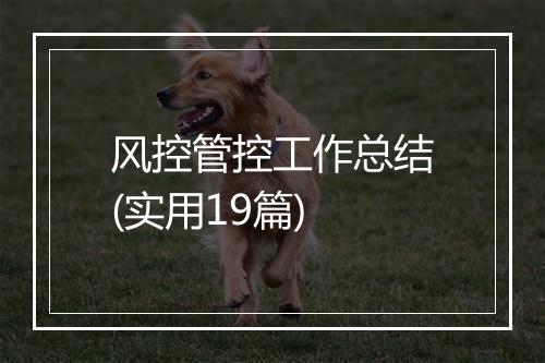风控管控工作总结(实用19篇)