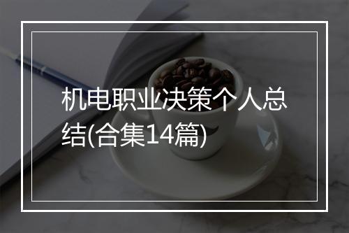 机电职业决策个人总结(合集14篇)