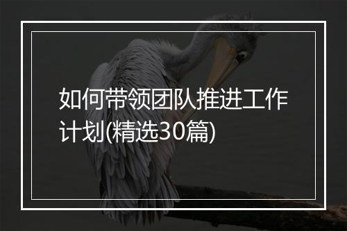 如何带领团队推进工作计划(精选30篇)