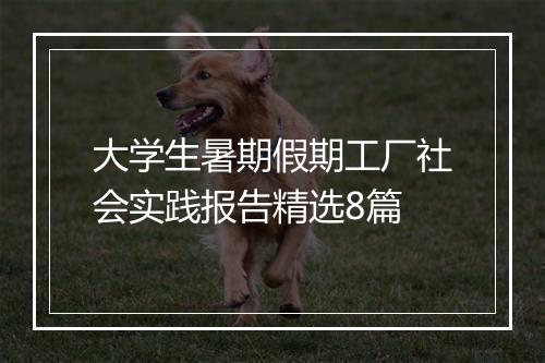 大学生暑期假期工厂社会实践报告精选8篇