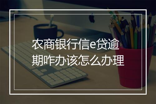 农商银行信e贷逾期咋办该怎么办理