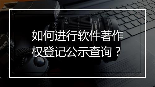如何进行软件著作权登记公示查询？