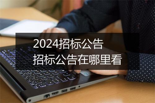 2024招标公告 招标公告在哪里看