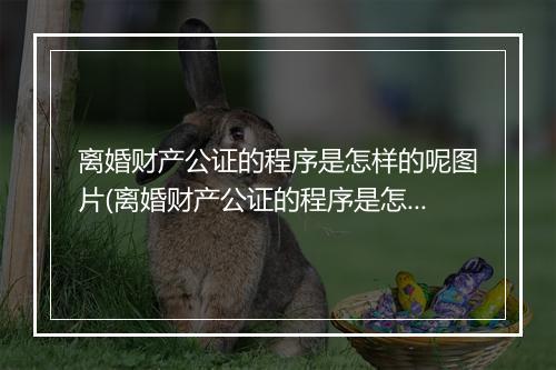 离婚财产公证的程序是怎样的呢图片(离婚财产公证的程序是怎样的呢)