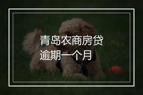 青岛农商房贷逾期一个月
