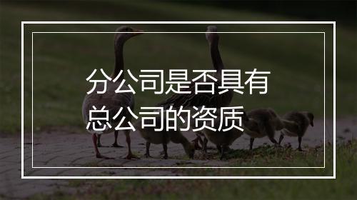 分公司是否具有总公司的资质