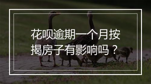 花呗逾期一个月按揭房子有影响吗？