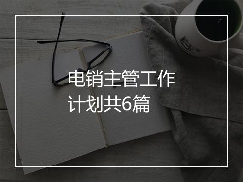 电销主管工作计划共6篇