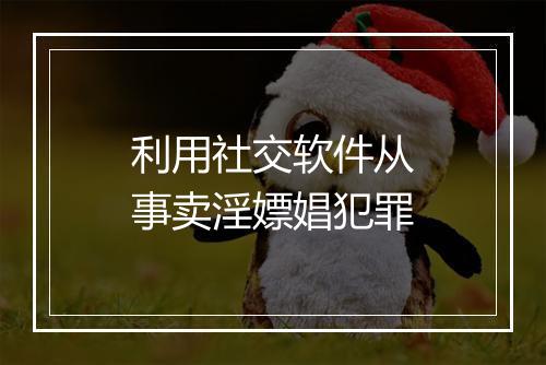 利用社交软件从事卖淫嫖娼犯罪