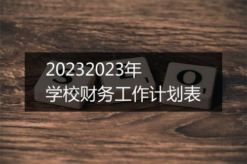 20232023年学校财务工作计划表