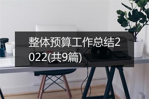 整体预算工作总结2022(共9篇)