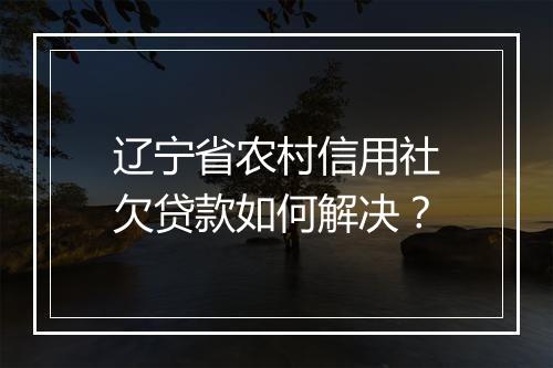 辽宁省农村信用社欠贷款如何解决？