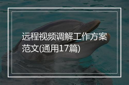 远程视频调解工作方案范文(通用17篇)
