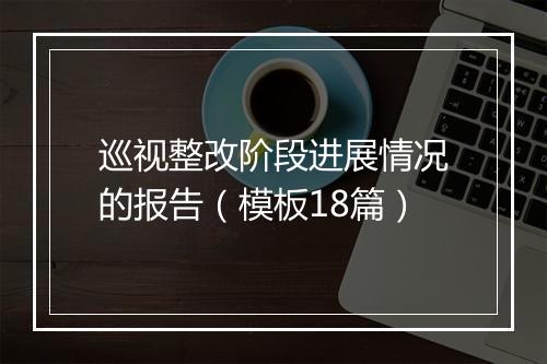 巡视整改阶段进展情况的报告（模板18篇）