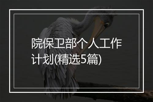 院保卫部个人工作计划(精选5篇)