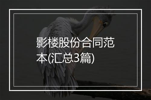 影楼股份合同范本(汇总3篇)