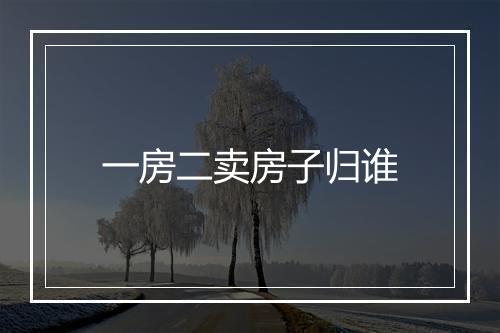 一房二卖房子归谁