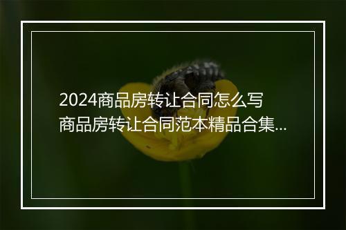 2024商品房转让合同怎么写 商品房转让合同范本精品合集10篇