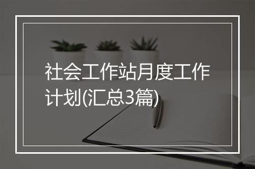 社会工作站月度工作计划(汇总3篇)