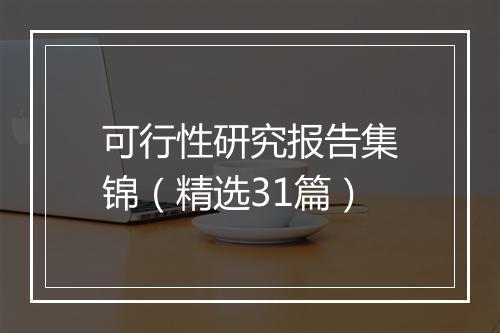 可行性研究报告集锦（精选31篇）