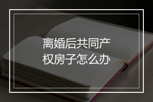 离婚后共同产权房子怎么办