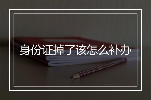 身份证掉了该怎么补办