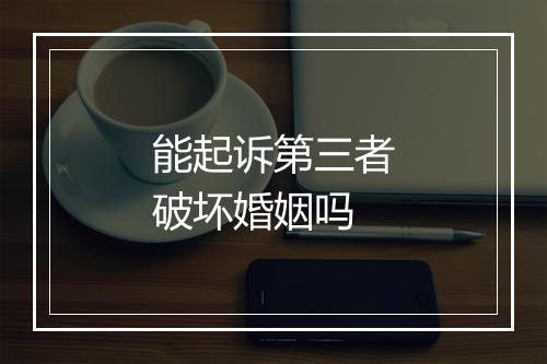 能起诉第三者破坏婚姻吗