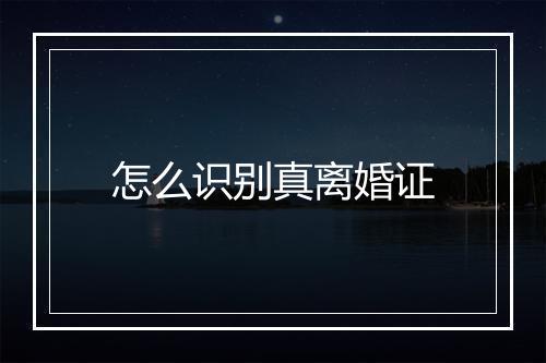 怎么识别真离婚证