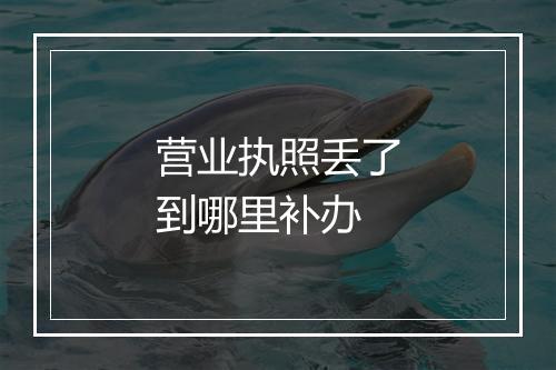 营业执照丢了到哪里补办
