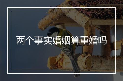 两个事实婚姻算重婚吗