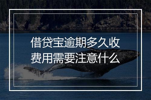 借贷宝逾期多久收费用需要注意什么