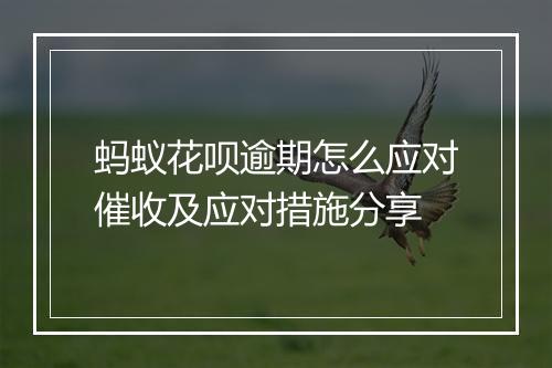 蚂蚁花呗逾期怎么应对催收及应对措施分享
