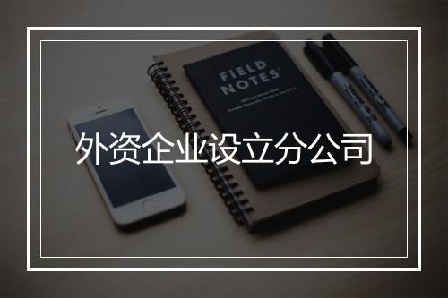 外资企业设立分公司