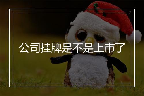 公司挂牌是不是上市了