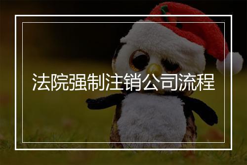 法院强制注销公司流程