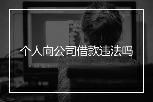 个人向公司借款违法吗
