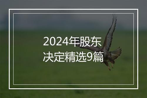 2024年股东决定精选9篇