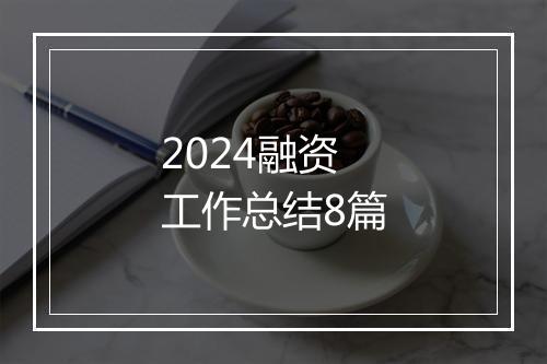 2024融资工作总结8篇