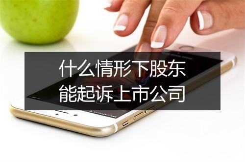 什么情形下股东能起诉上市公司